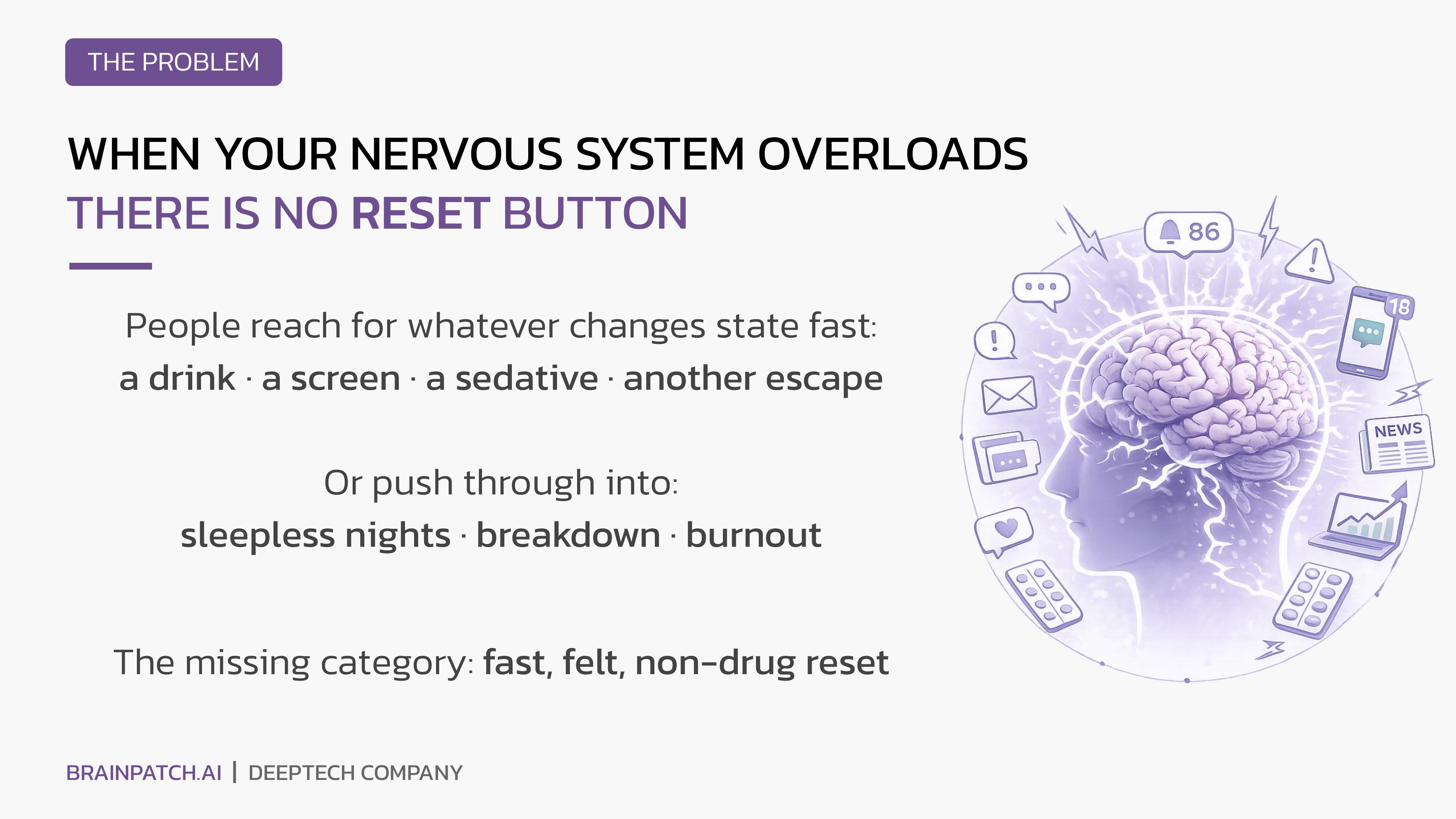 BrainPatch investment deck slide 2 / 8